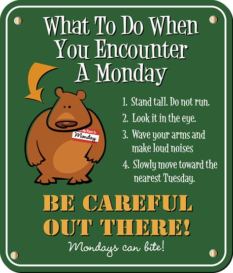 What to do when you encounter a Monday? funny monday humor happy monday monday morning monday greeting monday quote Monday Morning Greetings, Monday Morning Humor, Beautiful Infographics, Monday Inspirational Quotes, Monday Greetings, Monday Pictures, Monday Humor Quotes, Happy Monday Quotes, Monday Morning Quotes