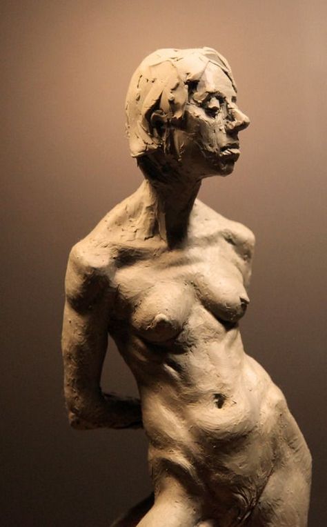 Clay Torso, Mode Poses, Woman Sculpture, Life Drawing Reference, Anatomy Sculpture, Human Sculpture, Sculpture Art Clay, Human Figure Drawing, Human Anatomy Art