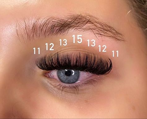 15mm Lash Extensions, Volume Eyelash Extensions Mapping, Mega Lash Extensions Mapping, Volume Set Lash Extensions Mapping, Mega Lash Map, 10mm Lash Extensions, Lash Extensions With Numbers, Dramatic Lash Mapping, Lash Extensions Sizes