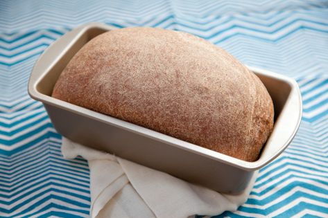 Organic Bread Recipe, Bread Recipe For Bread Machine, Recipe For Bread Machine, Thm Bread, Half Recipe, Sprouted Wheat Bread, Wheat Flour Recipes, Recipe For Bread, Sprouted Wheat