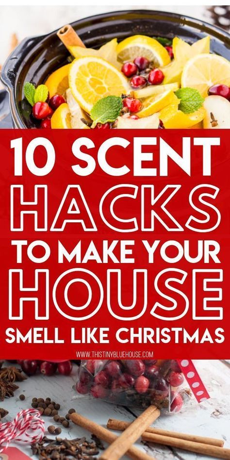 10 Genius Scent hacks to make your house smell like Christmas? Looking to add a fabulous festive scent to your home? Here are 10 BEST genius scent hacks to make your home smell like the holidays! House Smell Like Christmas, Holiday Smells, Smell Like Christmas, Potpourri Recipes, Christmas Smell, House Smell Good, Lounge Space, Cozy Outdoor, Home Smell