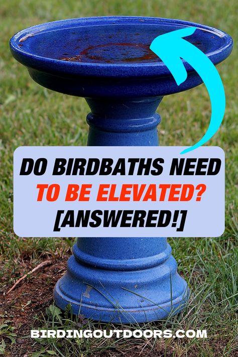 Bird Bath Stand Ideas, Diy Bird Bath Stand, Bird Bath Base Ideas, Natural Bird Bath Ideas, Garden Bird Bath Ideas, Repurpose Bird Bath, Home Made Bird Bath Ideas, Front Yard Bird Bath Garden Ideas, Diy Birdbath Ideas Simple