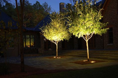 Tree Uplighting, Gingko Art, Outdoor Tree Lighting, Garden Lighting Design, Up Lighting, Driveway Lighting, Landscape Lighting Design, Columbus Georgia, Architectural Lighting Design