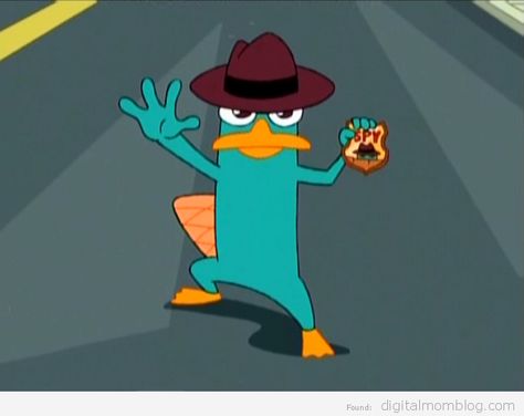 pics of perry the platypus | Who is Perry the Platypus: This pet platypus hides a secret life as ... Phineas And Ferb Perry, Baby Platypus, Perry The Platypus, Phineas Y Ferb, Disney On Ice, Phineas And Ferb, Disney Shows, Platypus, How To Have Twins