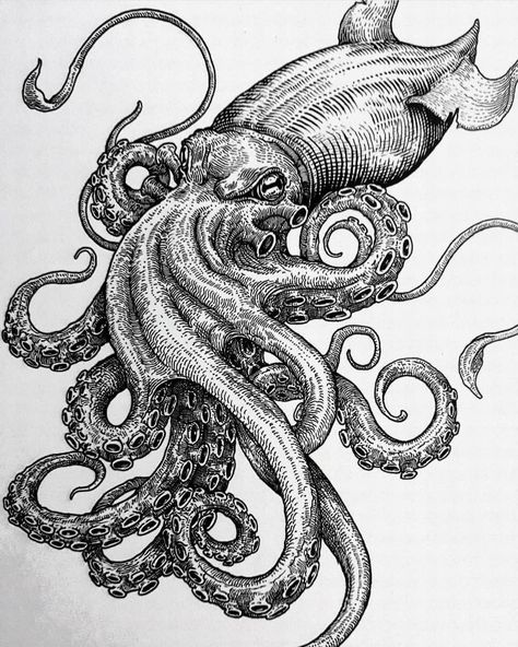 Art by @luthslaughter Creature Illustration, Neo Tattoo, Pirate Tattoo, Octopus Tattoo, Eagle Tattoo, Samurai Tattoo, Tattoo Design Drawings, Tattoo Stencils, More Money