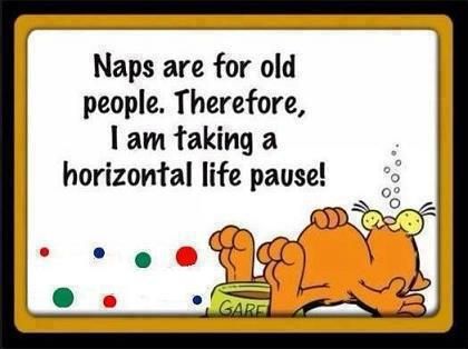 Naps are for old people. therefore, I am taking a horizontal life pause! | Share And Inspire Others | Nap Time Funny, Garfield Quotes, Garfield Pictures, Garfield And Odie, Quotes Images, Old People, Orange Cat, Yahoo Search, Nap Time