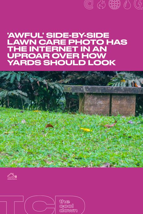 “It looks like Astroturf. Just awful!” Side Yards, Sewer System, Astro Turf, Master Gardener, Attract Butterflies, Landscape Architect, Environmental Impact, Side By Side, Lawn Care