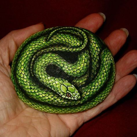 Rough green snake painted on a rock I found near my home Snake Rock Painting, Rough Green Snake, Snake Rock, Painted Owls, Painting Clay, Decorative Painting Projects, Snake Painting, Craft Factory, Theme Harry Potter