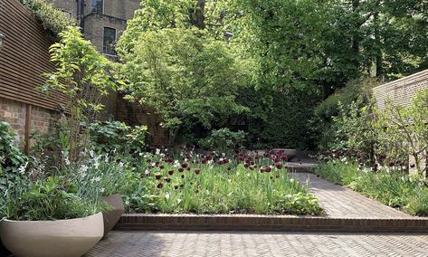 Garden With Hydrangeas, Stefano Marinaz, Pavers Garden, Hydrangea Paniculata Limelight, Hydrangea Arborescens Annabelle, Fringe Tree, Clay Pavers, West Facing Garden, Brick Path