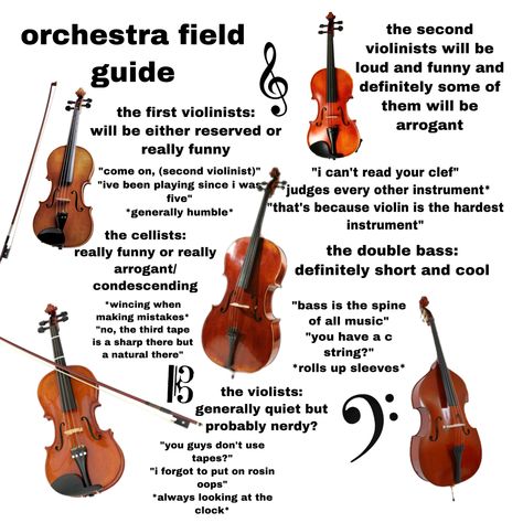 Orchestra Kids Humor, Cello Jokes, Orchestra Jokes, Orchestra Problems, Funny Orchestra, Viola Jokes, Orchestra Humor, Teaching Orchestra, Musician Memes