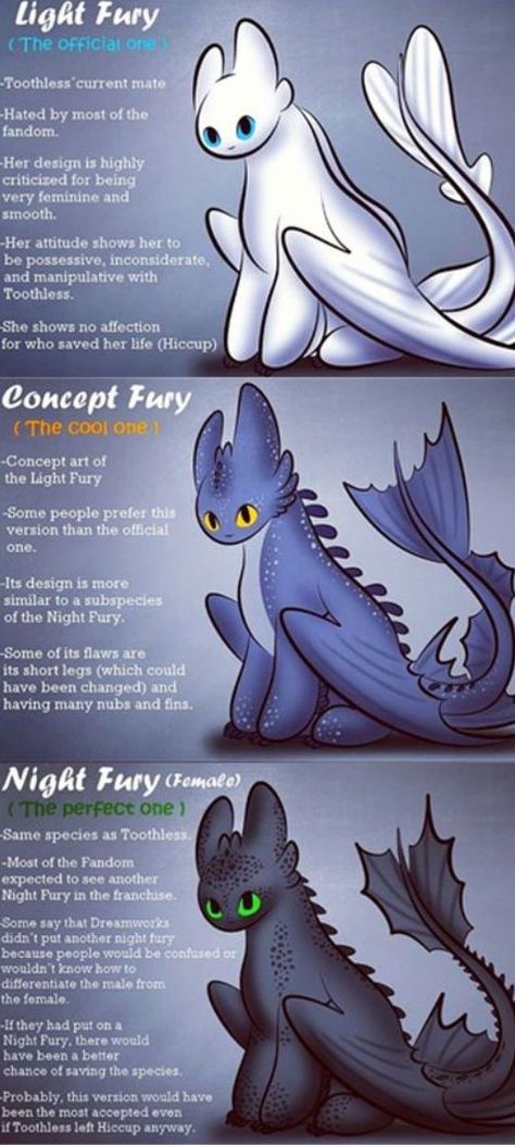 Night Fury, Dawn Fury, Light Fury How To Train Your Dragon Types Of Dragon, Night Fury Art, Night Fury Oc, Night Dragon, Cute Toothless, Toothless And Stitch, Toothless Night Fury, Night Fury Dragon, Dragon Light