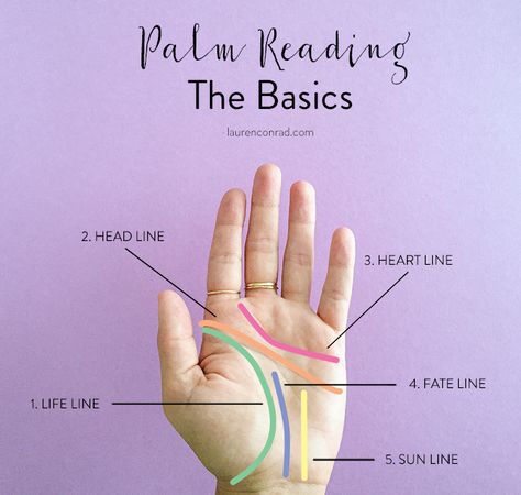 Palm reading basics by LaurenConrad.com Palmistry Reading, Palm Lines, Hand Palm, Hand Massage, Palm Reading, Weird Things, Psychic Reading, Palm Of Your Hand, Hocus Pocus