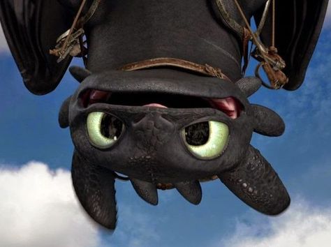 Toothless Icon, Toothless Wallpaper, Httyd Toothless, Toothless Dragon, Damon Salvatore Vampire Diaries, Dreamworks Dragons, Httyd Dragons, Dragon Trainer, Childhood Movies