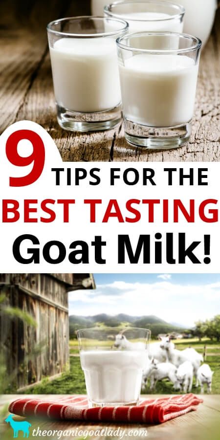 Uses For Goat Milk, Goat Milk Uses, Best Milking Goats, Goat Homestead, Milking Goats, Goats Milk, Milk Goats, Goat Milking Station, Goat Playground