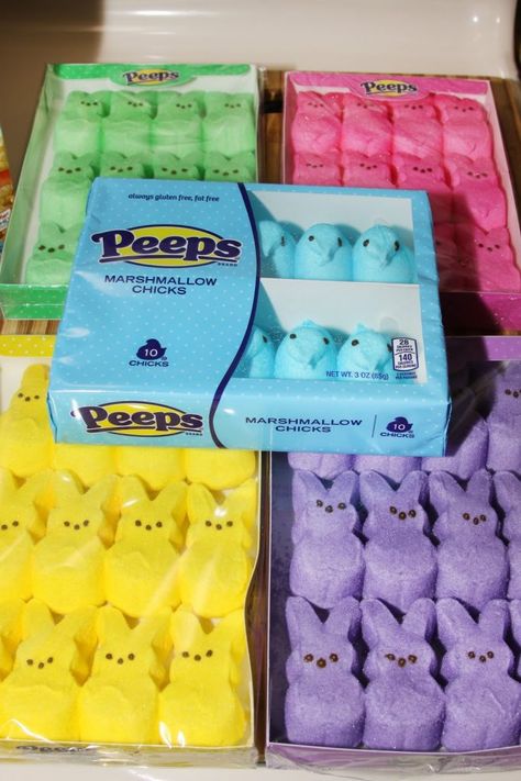 These Peeps Easter Egg Rice Krispie Treats are made with multi colored marshmallow Peeps and shaped into Easter eggs. Egg Rice Krispie Treats, Easter Egg Rice Krispie Treats, Peeps Flavors, Squishy Ideas, Egg Shaped Cookies, Freeze Dried Food Storage, Peeps Marshmallow, Easter Aesthetic, Weird Obsessions