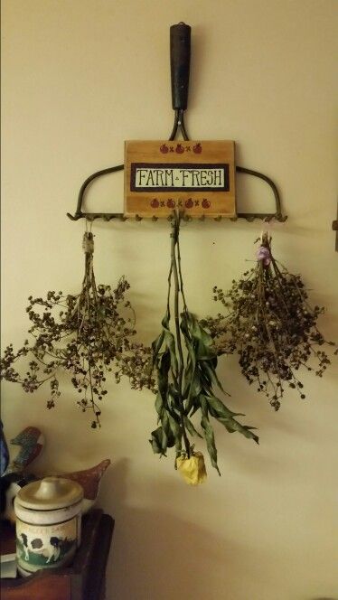 Rake Head Ideas Repurposed, Old Rakes Repurposed, Old Rake Decor, Old Rake Head Ideas, Repurposed Rake Head, Antique Room Ideas, Rake Decor, Old Rake Head Jewelry Holder, Air Plant Art