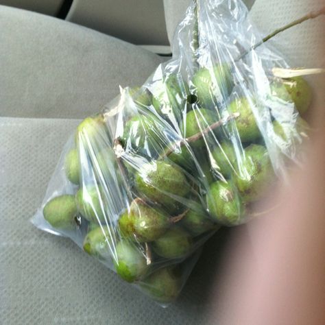 One of my favorite Fruits from Puerto Rico... Sweet Quenepas from the south of the island Puerto Rican, Everyday Food, Favorite Food, The South, Puerto Rico, My Favorite, Favorite Recipes, Fruit