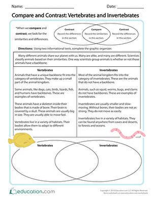 Vertebrates have backbones and invertebrates don't. This is one of their many differences. Did you know they also have similarities? Use this resource to get your students comparing and contrasting information from two short texts with a Venn diagram. #educationdotcom Invertebrates Worksheet, Vertebrates And Invertebrates, Third Grade Reading, Teachers Aide, Venn Diagram, Science Worksheets, Preschool Games, Compare And Contrast, Classroom Activities