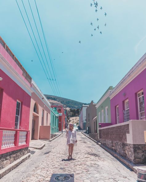 The Most Instagrammable places in Cape Town - Charlies Wanderings Kirstenbosch Botanical Gardens Cape Town, Bo Kaap Cape Town Photoshoot, Cape Town Aesthetic, Cape Town Photography, Christian Room, South Africa Vacation, Town Photography, Town Landscape, Bo Kaap