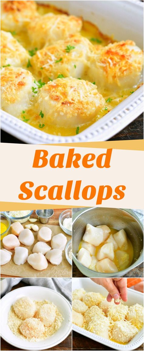 How To Bake Scallops In The Oven, Scallops And Crab Recipes, Parmesan Baked Scallops, Baked Scallops With Ritz Crackers Recipe, Sea Scallop Recipes Baked, Scallop And Lobster Recipes, Baked Shrimp And Scallops, Lobster And Scallops Recipes, Baked Scallops With Ritz Crackers