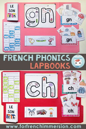 French Phonics Lapbooks - For French Immersion French Phonetics, French Sounds, French Interactive Notebooks, French Immersion Kindergarten, Teaching French Immersion, French Phonics, French Immersion Resources, Learning French For Kids, Learn To Speak French