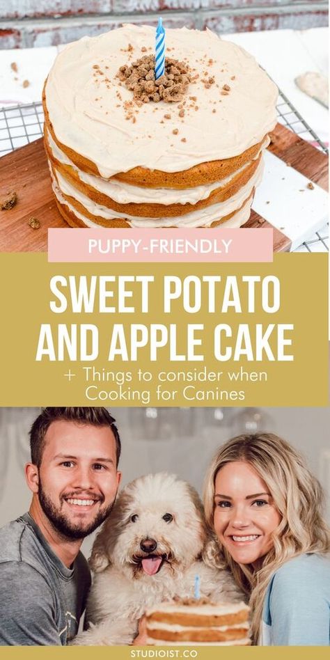 Sweet Potato Pup Cakes, Sweet Potato Cake For Dogs, Dog Birthday Cake Sweet Potato, Sweet Potato Dog Cake, Dog Safe Cake Recipe, Puppy Cakes, Dog Meals, Dog Goals, Pup Treats