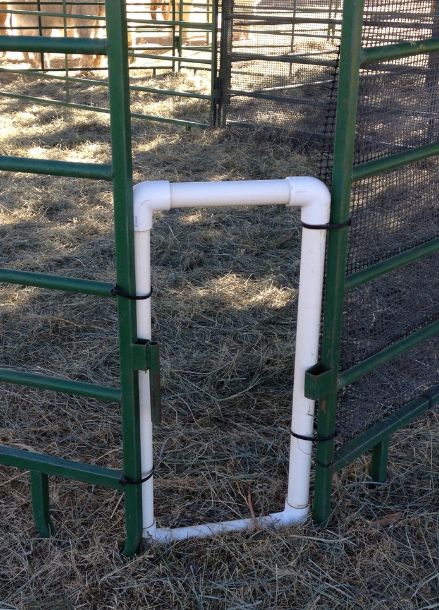 Goat Creep Feeder, Diy Creep Feeder, Creep Feeders For Calves Diy, Creep Feeders For Goats, Lamb Creep Feeder, Cattle Corrals, Goat Playground, Livestock Barn, Livestock Shelter