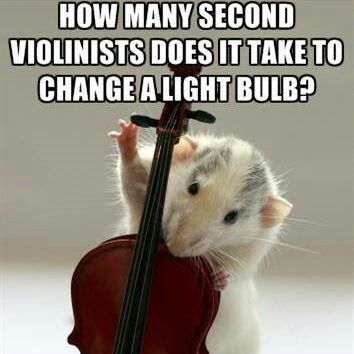 Second violins joke Viola Jokes, Orchestra Humor, Musician Jokes, Viola Music, Viola Instrument, Musical Jokes, Music Puns, Playing Violin, Musician Humor