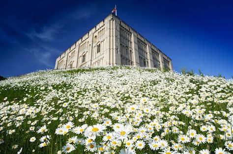 Norwich Castle, Lady Julian Bridge, Richard Osbourne photos Norwich Castle, Julian Of Norwich, Suffolk Coast, British Castles, Norfolk Broads, Norfolk England, Norwich Norfolk, Great Yarmouth, Stately Home