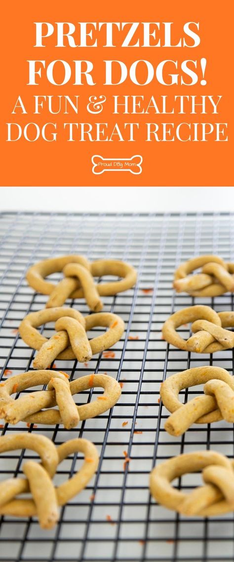 Pumpkin And Peanut Butter, Gluten Free Dog Treats, Dog Treat Ideas, Dog Cookie Recipes, Homemade Pretzel, Dog Treat Business, Pup Treats, Soft Dog Treats, Pet Bakery