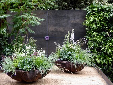 Modern Container Garden, White Container Flowers, Chelsea Flower Show Gardens, Chelsea Garden Show, Modern Cottage Garden, Patio Container Gardening, Container Planting, Chelsea Garden, Container Garden Design