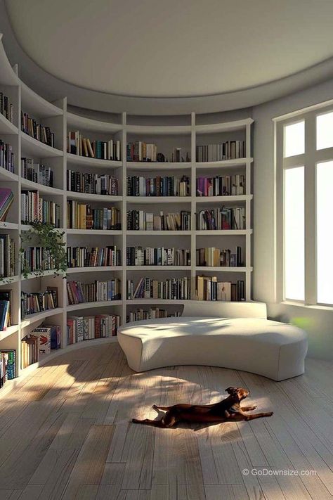 Floor To Wall Bookshelf, Corner Shelves Library, Round Room Ideas, House Design Library, Round Room Interior Design, Small House Library, Modern Library Aesthetic, In House Library, House Library Ideas