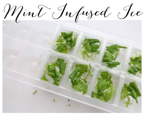 Mint Ice Cubes, Infused Ice Cubes, Mint Herb, Infused Waters, Infused Water Recipes, Victory Garden, Fruit Ice, Glass Of Water, Ice Molds