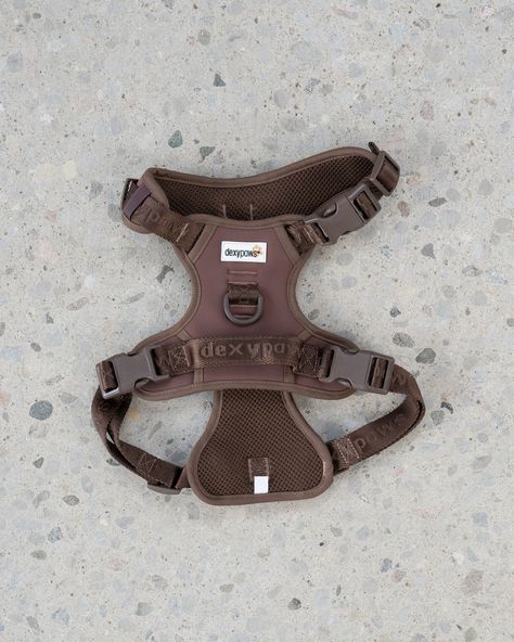 Introducing our No-Pull Dog Harness! Our harness has been designed and thoughtfully sourced to withhold the strongest pullers. This harness is adjustable, easy-to-use, and lined with breathable air mesh for extra padding on long walks or runs. Walking Gear, Dog Brand, Puppy Room, Dogs Stuff, Small Dog Harness, Puppy Harness, Dog Branding, Mini Dogs, Dog Shop