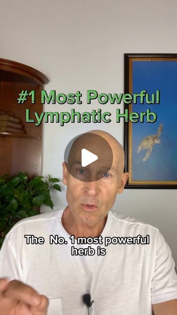 John Douillard's LifeSpa on Instagram: "A misunderstood lymph- + blood-cleansing herb! Learn more at LifeSpa.com or in the link in bio.   Shop Manjistha at Store.LifeSpa.com.   #johndouillard #lifespa #ayurveda #naturalheath #lymph #lymphaticdrainage" How To Unclog Your Lymph Glands Naturally, How To Get Rid Of Lymph Fluid, Swollen Lymph Node Remedies, Lymph System Cleanse, Lymph Nodes Cleanse, Lymph Nodes Location, Lymph Cleanse, Lymph Health, Lymph Detox