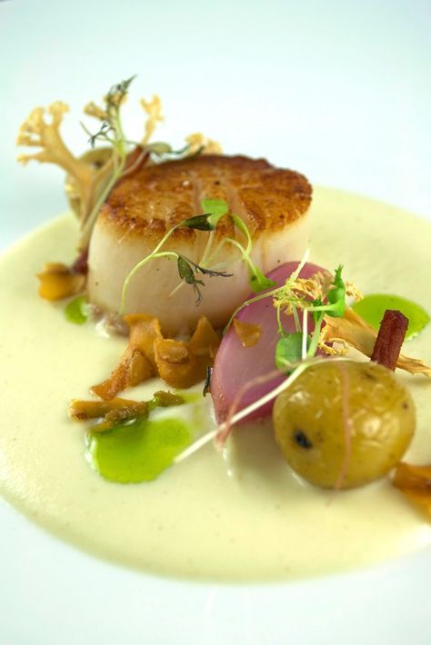 Sea Scallop with Truffled Cauliflower Puree, Crispy Mushrooms, Bacon, Butter Poached Radish and Creamer Potatoes Crispy Mushrooms, Scallop Appetizer, Bacon Scallops, Scallop Recipe, Bacon Butter, Creamer Potatoes, Fancy Appetizers, Cauliflower Puree, Sea Scallops