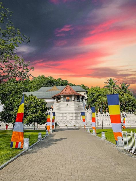 Sri Dalada Maligawa, Temple in sri lanka Historical Temples, Kandy Sri Lanka, The Royal Palace, Buddhist Temple, Kandy, Buddha Art, Beautiful Places Nature, Royal Palace, The Temple