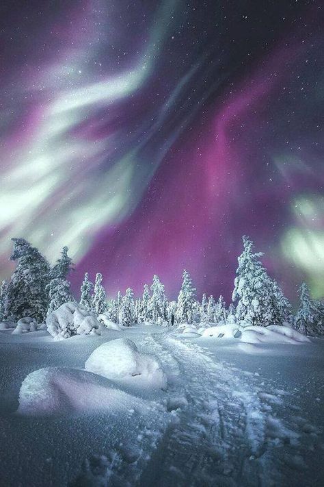 NORTHERN LIGHTS IN LEVI, FINLAND Levi Finland, Winters Tafereel, Matka Natura, Northern Lights (aurora Borealis), Aurora Borealis Northern Lights, Winter Szenen, Winter Scenery, Alam Yang Indah, Beautiful Sky