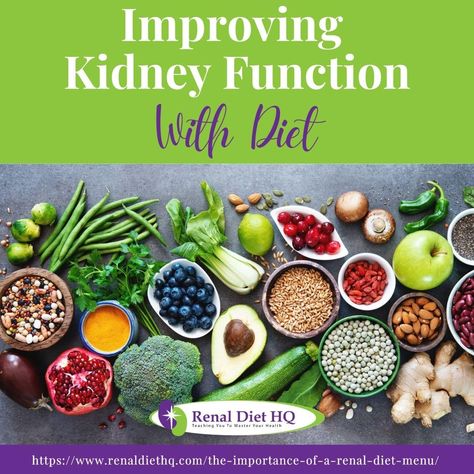 Improving Kidney Function With Diet - Renal Diet HQ How To Increase Kidney Function, Diet For Kidney Problems, Functions Of Kidney, Foods To Avoid For Kidney Stone, Renal Diet Menu, Improving Kidney Function, Food For Kidney Health, Improve Kidney Function, Creatinine Levels