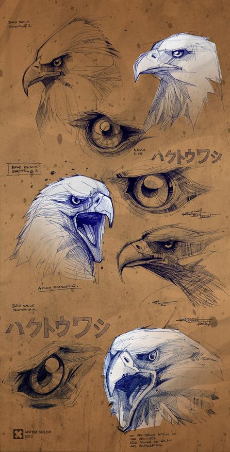 Artem Solop, Eagle Drawing, Animal Sketches, Arte Animal, Bird Drawings, Drawing Tutorials, Brown Paper, Short Story, Painting Illustration