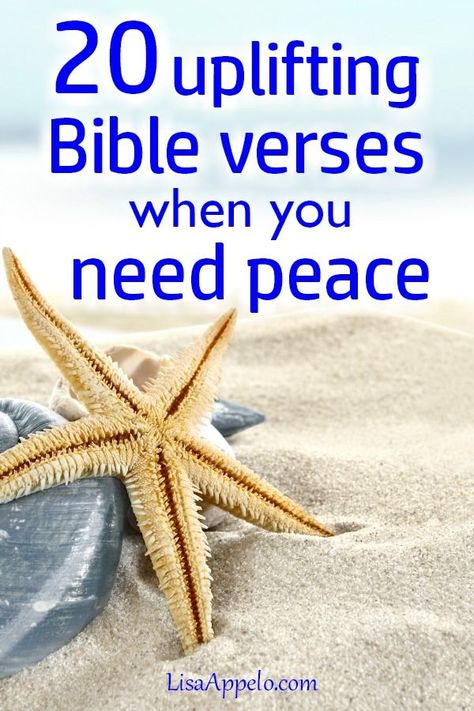 Hard Times Bible Verses, Verses On Peace, Scripture Promises, Hope Verses, Verses About Peace, Peace Meaning, Peace Scripture, Encouraging Verses, Uplifting Bible Verses