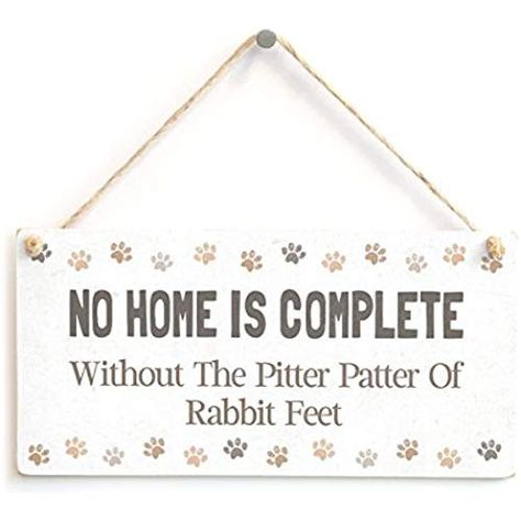 Product Details Rabbit Home, Funny Dog Signs, Cat Home Decor, Rabbits Foot, Funny Home Decor, Cat Home, Rabbit Gifts, Picture Hook, Spring Equinox