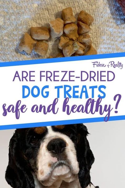 Freeze Dry Dog Treats Diy, Freeze Dried Dog Treats Diy, Freeze Dry Dog Treats, Freeze Dried Dog Food Recipe, Freeze Dried Snack Ideas, Freeze Drying Business, Freeze Dried Dog Treats Recipes, Freeze Dried Snacks, Chicken Dog Treats Recipes