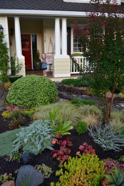 Privacy Landscaping Front Yard, Garden Front Yard, Xeriscape Front Yard, Front Lawn Landscaping, Cheap Landscaping Ideas, Garden Nails, Succulent Landscape Design, Garden Tattoos, Lawn Alternatives