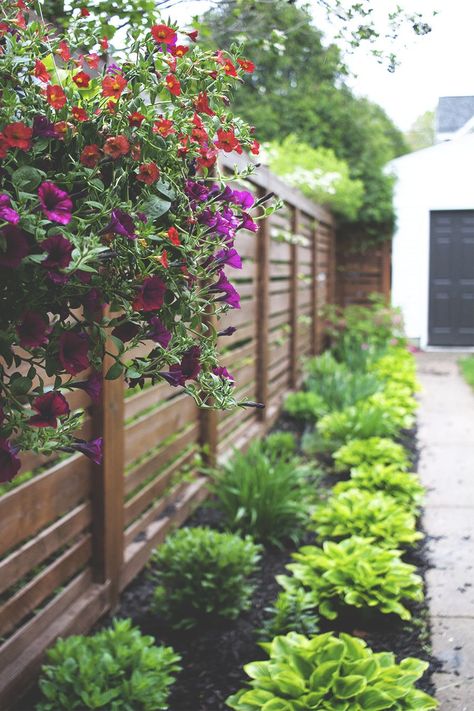 Horizontal Fence Stained Dark Brown | Plants Fence Gates, Fence Stain, Privacy Fence Designs, Backyard Fence, Cheap Backyard, Horizontal Fence, Front Yard Fence, Cedar Fence, Bamboo Fence