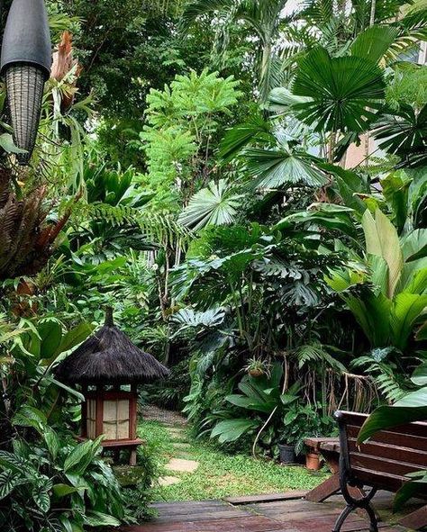 Tropical Garden With Water Feature, Tropical Garden Paths And Walkways, Dry Tropical Garden, Outside Bed Ideas, Tropical Garden Seating Area, Tropical Pond Ideas, Lush Deck Garden, Jungle Garden Ideas Small Spaces, Tiny Tropical Garden