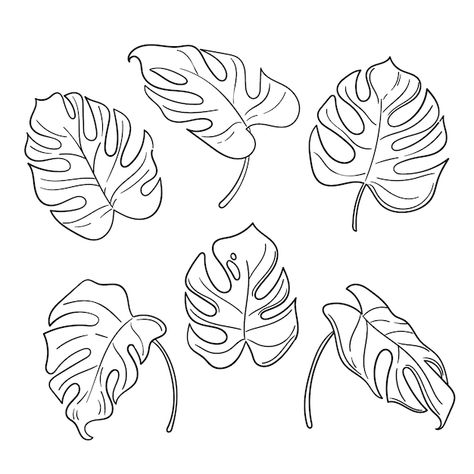 Palm Leaf Drawing Simple, Monstera Leaf Vector, Monstera Leaf Sketch, How To Draw Monstera Leaf, Monstera Leaf Illustration, Plant Tattoo Stencil, Monstera Leaves Drawing, Tropical Leaf Drawing, Monstera Leaf Outline