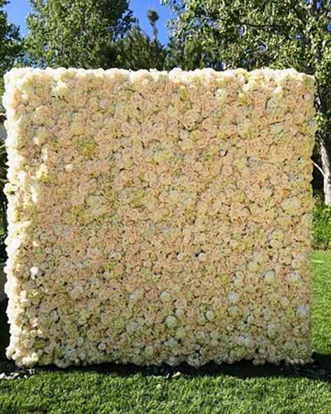 ‘I woke up to a wall of roses, hydrangeas and peonies!!!’ Kardashian posted a photo of her gift from fiancé Kanye West. Wall Of Roses, Coin Photo, Mothers Day Pictures, Flower Wall Wedding, Flower Walls, Flower Wall Backdrop, Rose Wall, Mothers Day Flowers, Photo Booth Backdrop