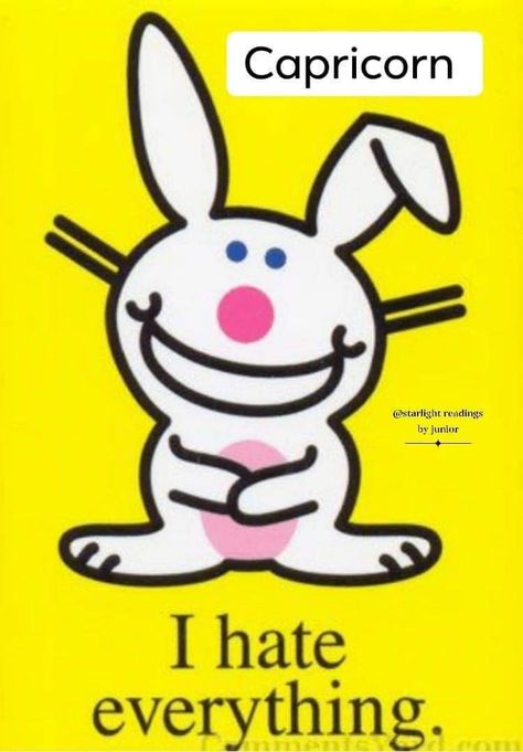 Happy Bunny Quotes, Evil Bunny, Funny Happy Birthday Pictures, Bunny Quotes, Bunny Room, Bunny Poster, Adorable Bunnies, Happy Bunny, The Cardigans