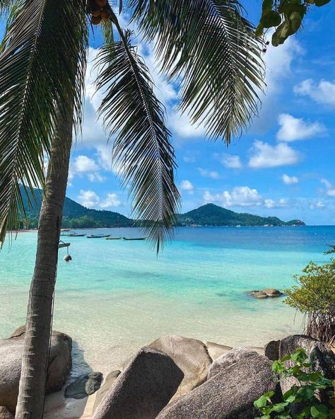 Sairee Beach Koh Tao or it's often called Sairee Beach is located in Koh Pha-Ngan, Surat Thani 84280, Thailand. Thailand Pics, Thailand Shopping, Ao Nang Beach, Thailand Tourist, Thailand Destinations, Koh Samui Beach, Railay Beach, Thailand Backpacking, Surat Thani